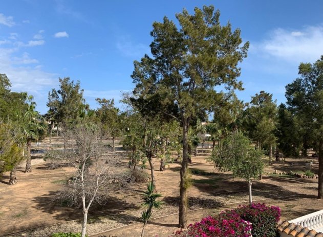 Revente - Villa - Guardamar del Segura - El Raso