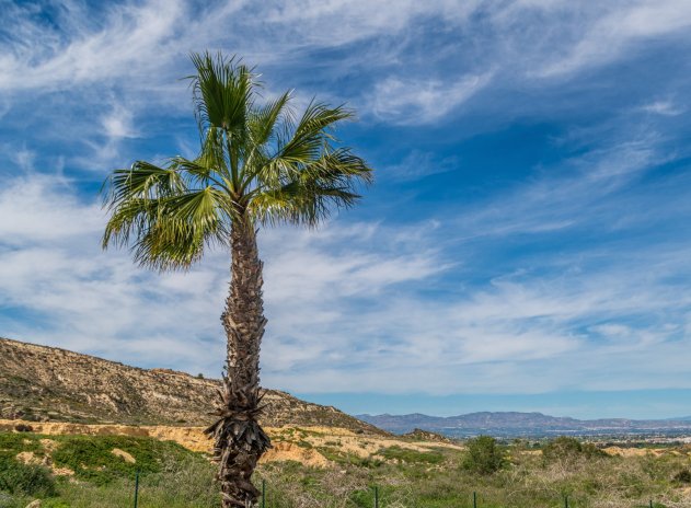 Herverkoop - Appartement - Algorfa - La Finca Golf