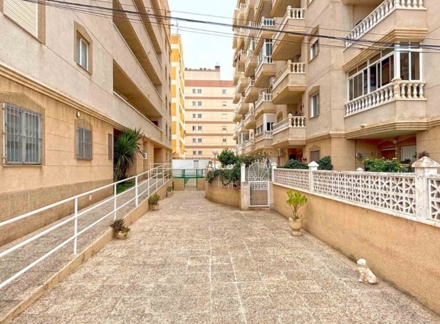 Revente - Appartement - Torrevieja - Aguas Nuevas