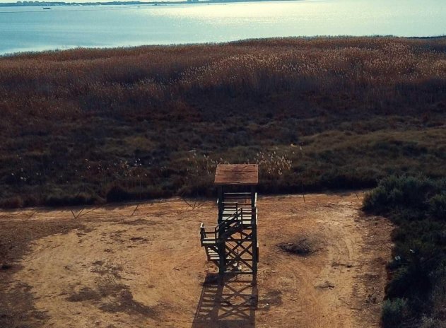 Obra nueva - Villa - Los Montesinos - La Herrada