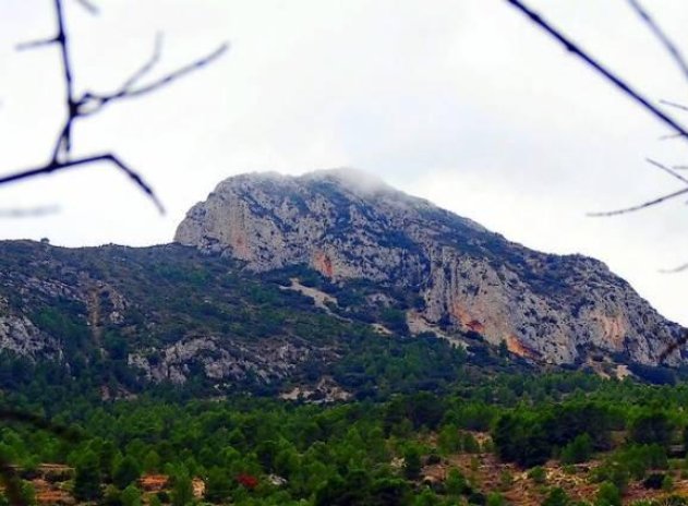 Nouvelle construction - Villa - La Romana