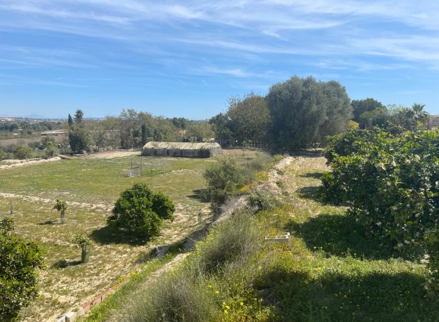 Herverkoop - Villa - Guardamar del Segura - Valencian Community