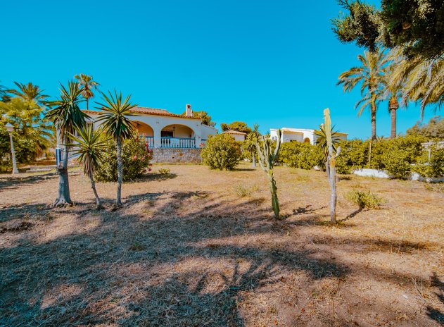 Herverkoop - Villa - Orihuela Costa - Playa Flamenca