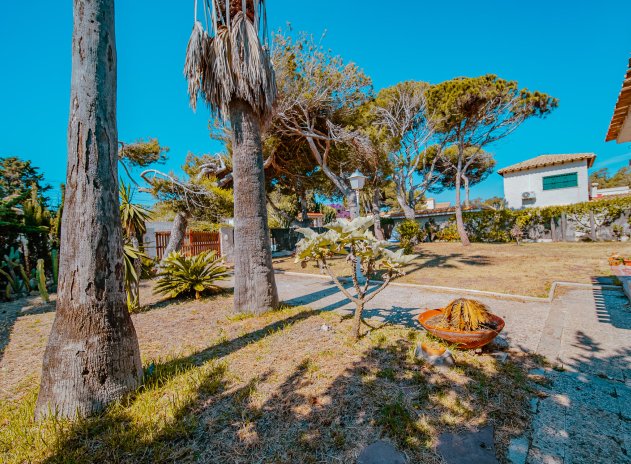 Herverkoop - Villa - Orihuela Costa - Playa Flamenca