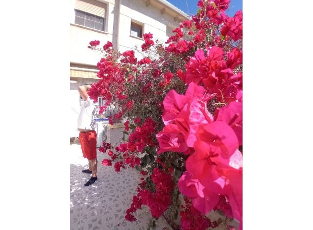 Reventa - Casa adosada - La Mata