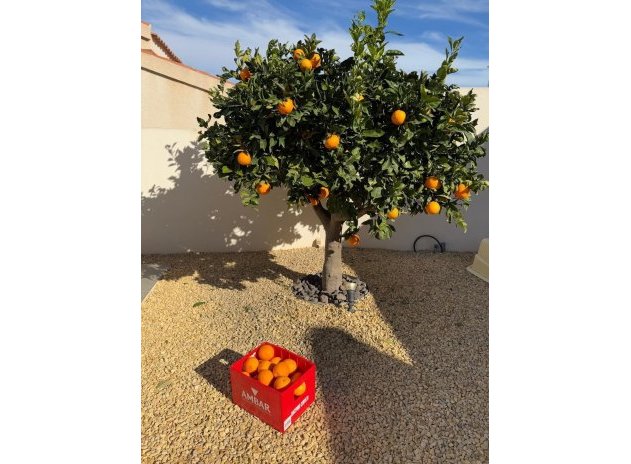 Wiederverkauf - Villa - Ciudad Quesada