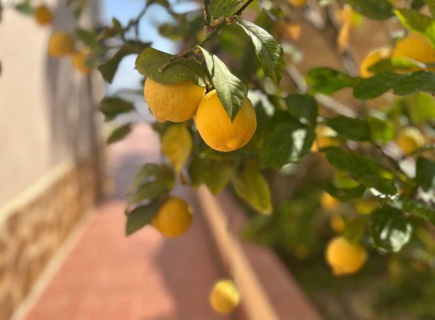 Reventa - Villa - Algorfa