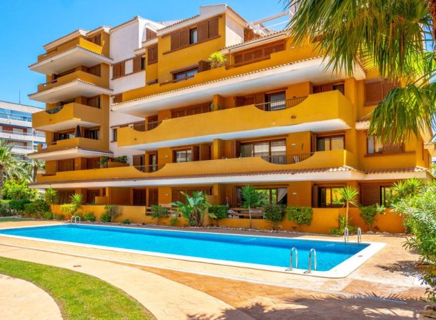 Reventa - Apartamento / Piso - Punta Prima