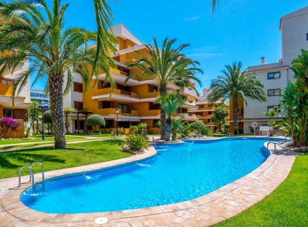 Reventa - Apartamento / Piso - Punta Prima