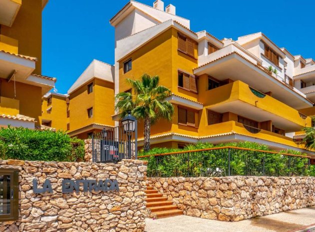 Reventa - Apartamento / Piso - Punta Prima