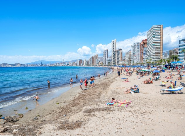 Herverkoop - Appartement - Benidorm - Levante*