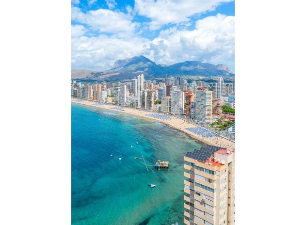 Herverkoop - Appartement - Benidorm - Levante*