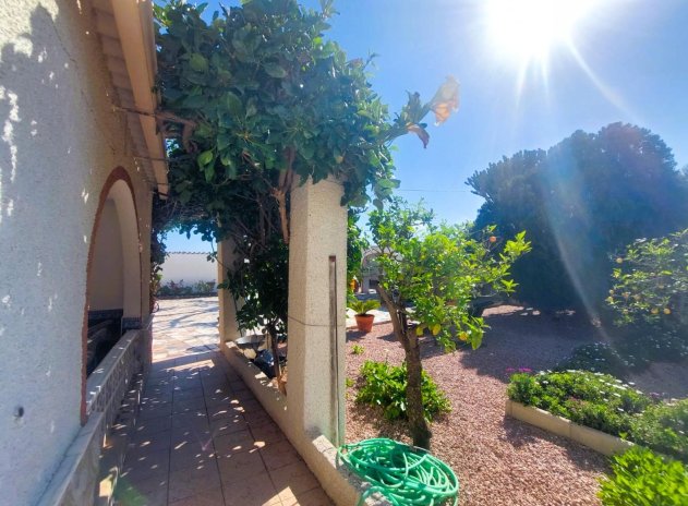 Reventa - Finca / Casa Rural - La Marina