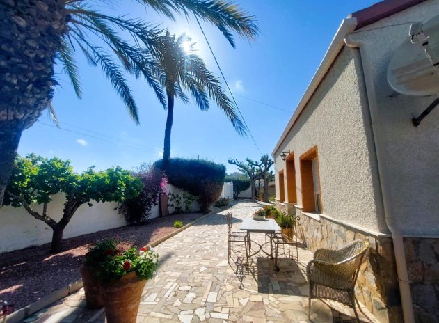 Reventa - Finca / Casa Rural - La Marina