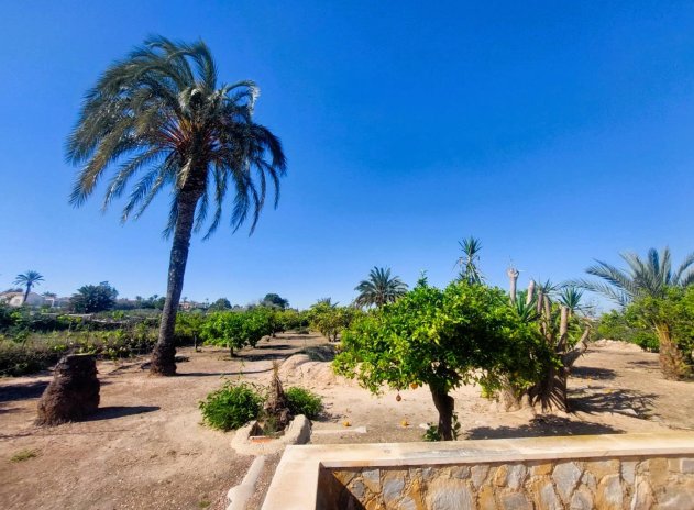 Reventa - Finca / Casa Rural - La Marina