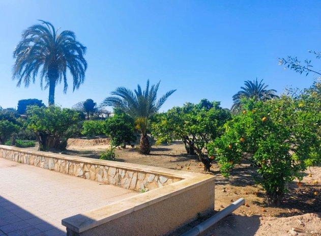 Reventa - Finca / Casa Rural - La Marina