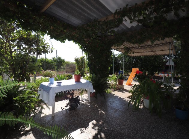 Revente - Finca / Maison Rurale - Albatera