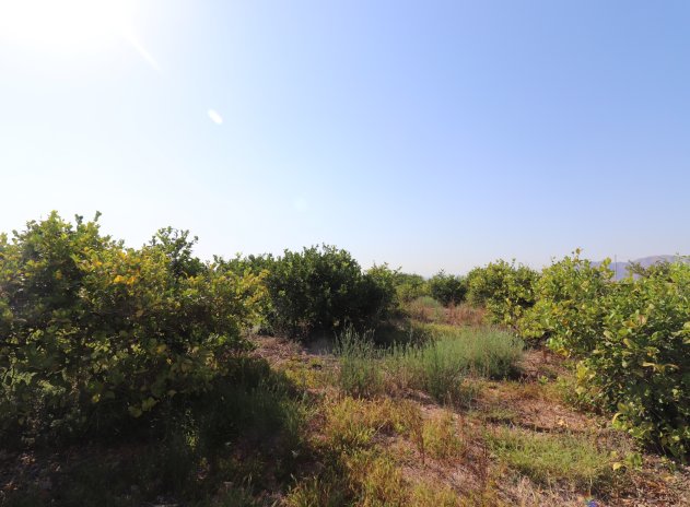 Revente - Finca / Maison Rurale - Albatera