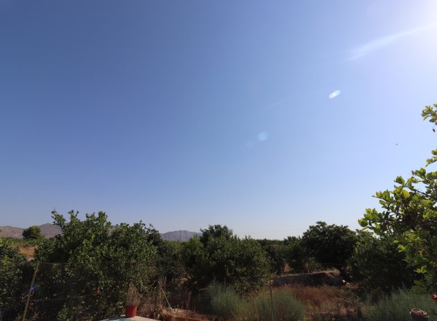 Revente - Finca / Maison Rurale - Albatera