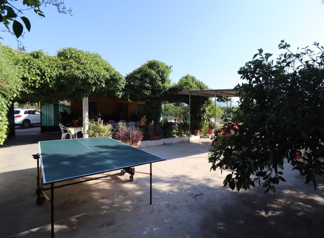 Revente - Finca / Maison Rurale - Albatera