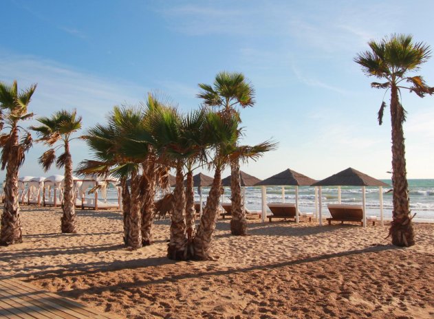 Reventa - Apartamento / Piso - Guardamar del Segura