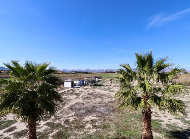 Revente - Finca / Maison Rurale - Catral