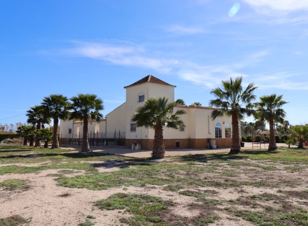 Revente - Finca / Maison Rurale - Catral