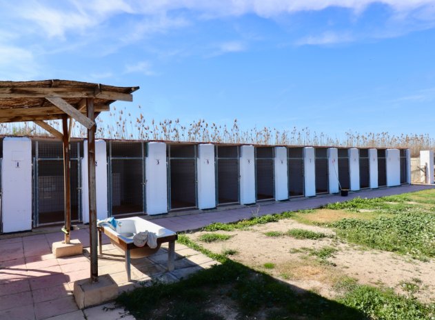 Revente - Finca / Maison Rurale - Catral