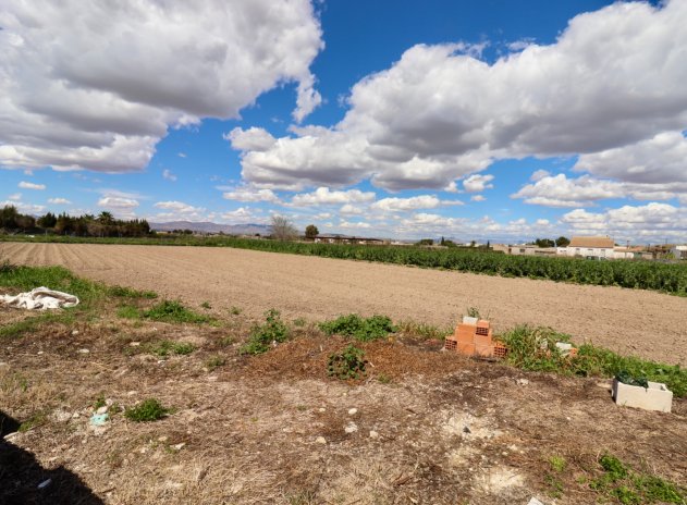 Wiederverkauf - Finca / Ländliches Wohnhaus - Dolores