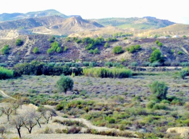 Wiederverkauf - Grundstück - Torremendo