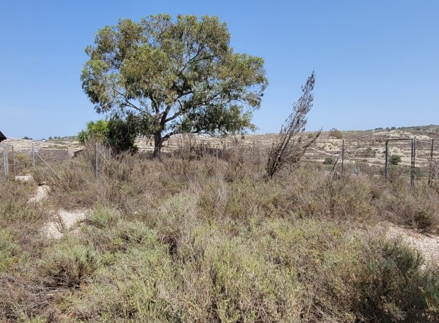 Wiederverkauf - Finca / Ländliches Wohnhaus - Torremendo