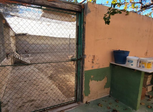 Revente - Finca / Maison Rurale - San Miguel de Salinas