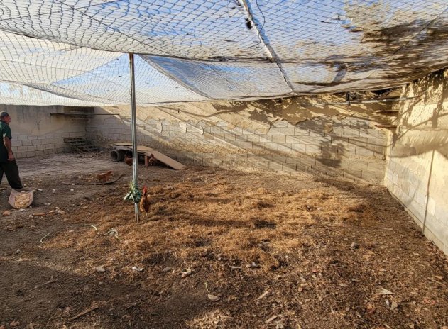 Revente - Finca / Maison Rurale - San Miguel de Salinas