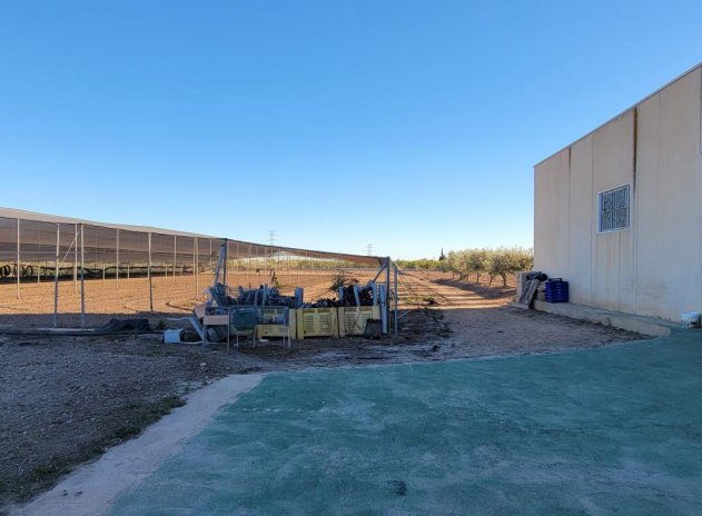 Revente - Finca / Maison Rurale - San Miguel de Salinas