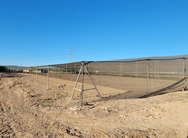 Revente - Finca / Maison Rurale - San Miguel de Salinas