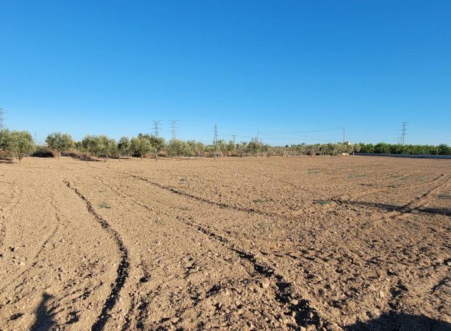 Revente - Finca / Maison Rurale - San Miguel de Salinas