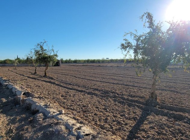 Revente - Finca / Maison Rurale - San Miguel de Salinas