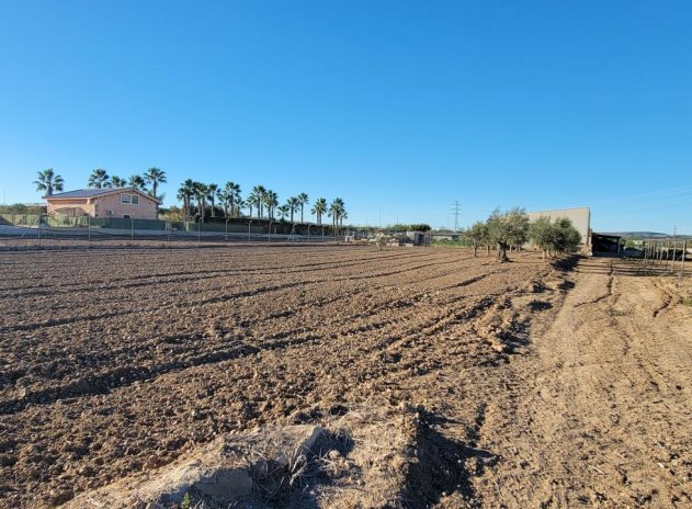 Revente - Finca / Maison Rurale - San Miguel de Salinas