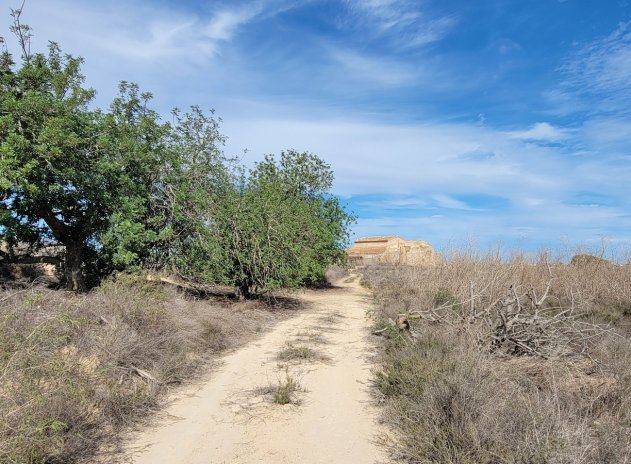 Reventa - Finca / Casa Rural - San Miguel de Salinas