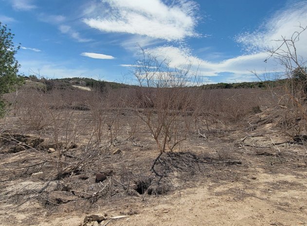 Reventa - Finca / Casa Rural - San Miguel de Salinas