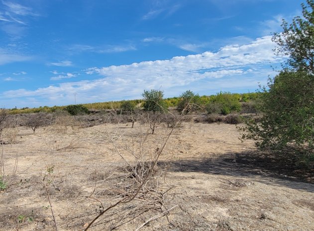 Reventa - Finca / Casa Rural - San Miguel de Salinas