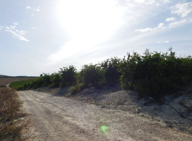 Herverkoop - Perceel - Torremendo