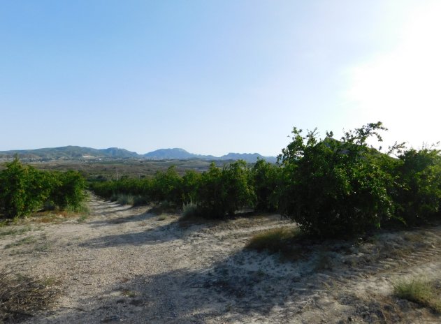 Herverkoop - Perceel - Torremendo