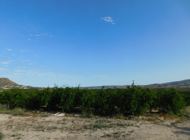 Herverkoop - Perceel - Torremendo