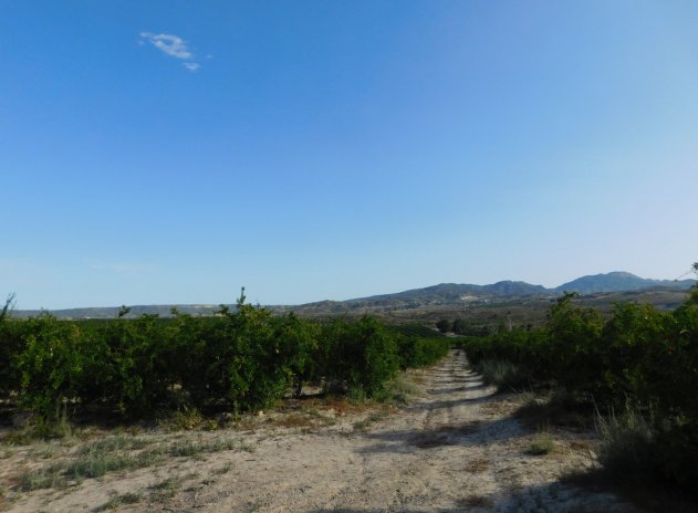 Herverkoop - Perceel - Torremendo