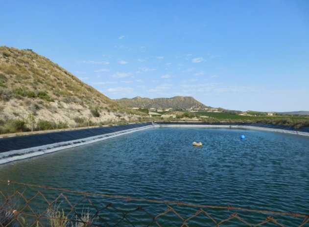 Herverkoop - Perceel - Torremendo