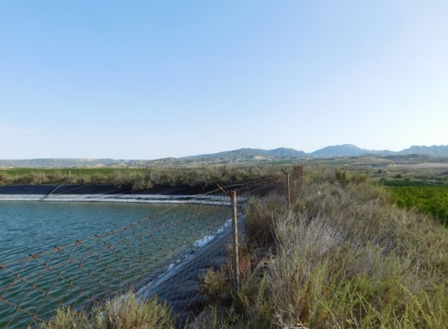 Herverkoop - Perceel - Torremendo