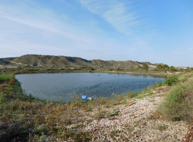 Herverkoop - Perceel - Torremendo