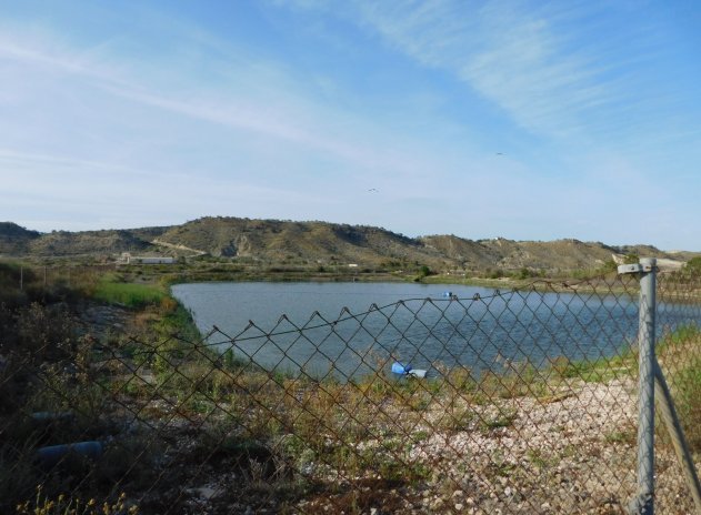 Revente - Parcelle - Torremendo