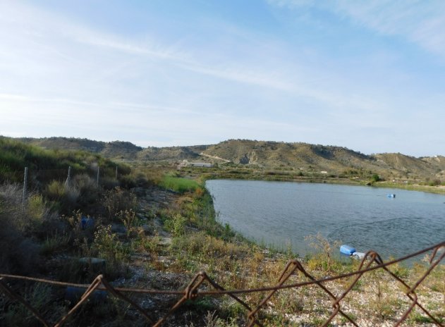 Revente - Parcelle - Torremendo